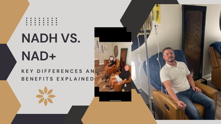 Read more about the article NADH vs NAD+: Exploring Their Functional Differences